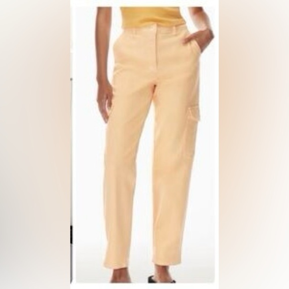 Aritzia Wilfred Free Modern Cargo Pant